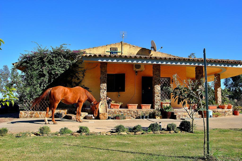 Agriturismo Monte Majore Siliqua Bagian luar foto