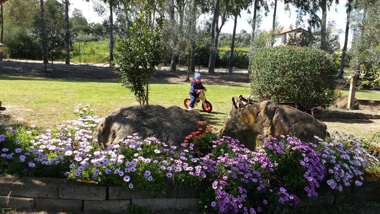 Agriturismo Monte Majore Siliqua Bagian luar foto